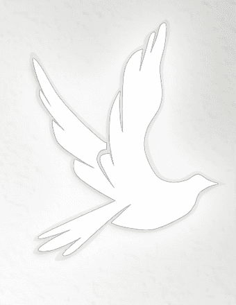 Steven Dale Taylor Obituary